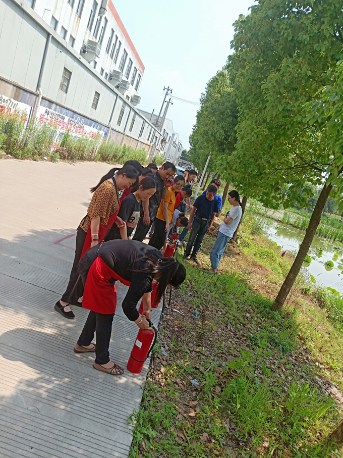 1559490185129927.jpg 4.jpg