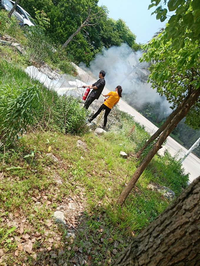 1559490195263175.jpg 5.jpg