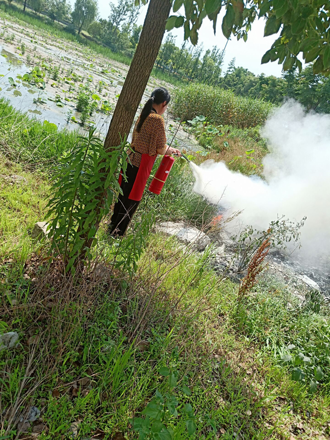 1559490209148840.jpg 6.jpg