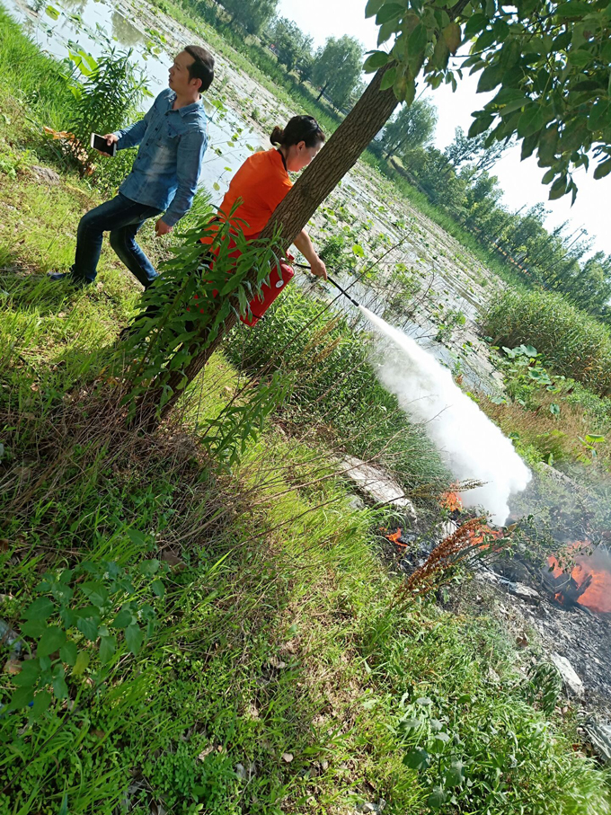 1559490217302192.jpg 7.jpg